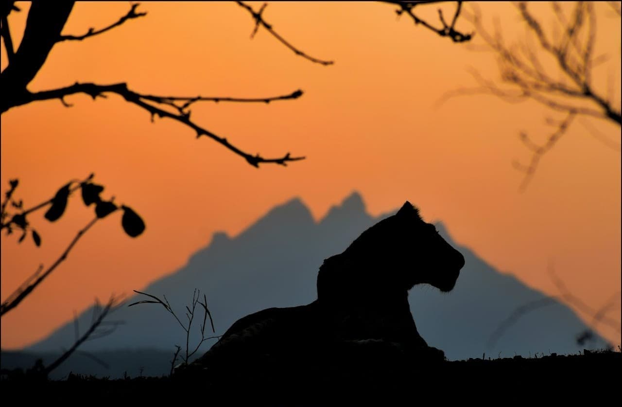 Girnar Nature Safari in Sasan Gir