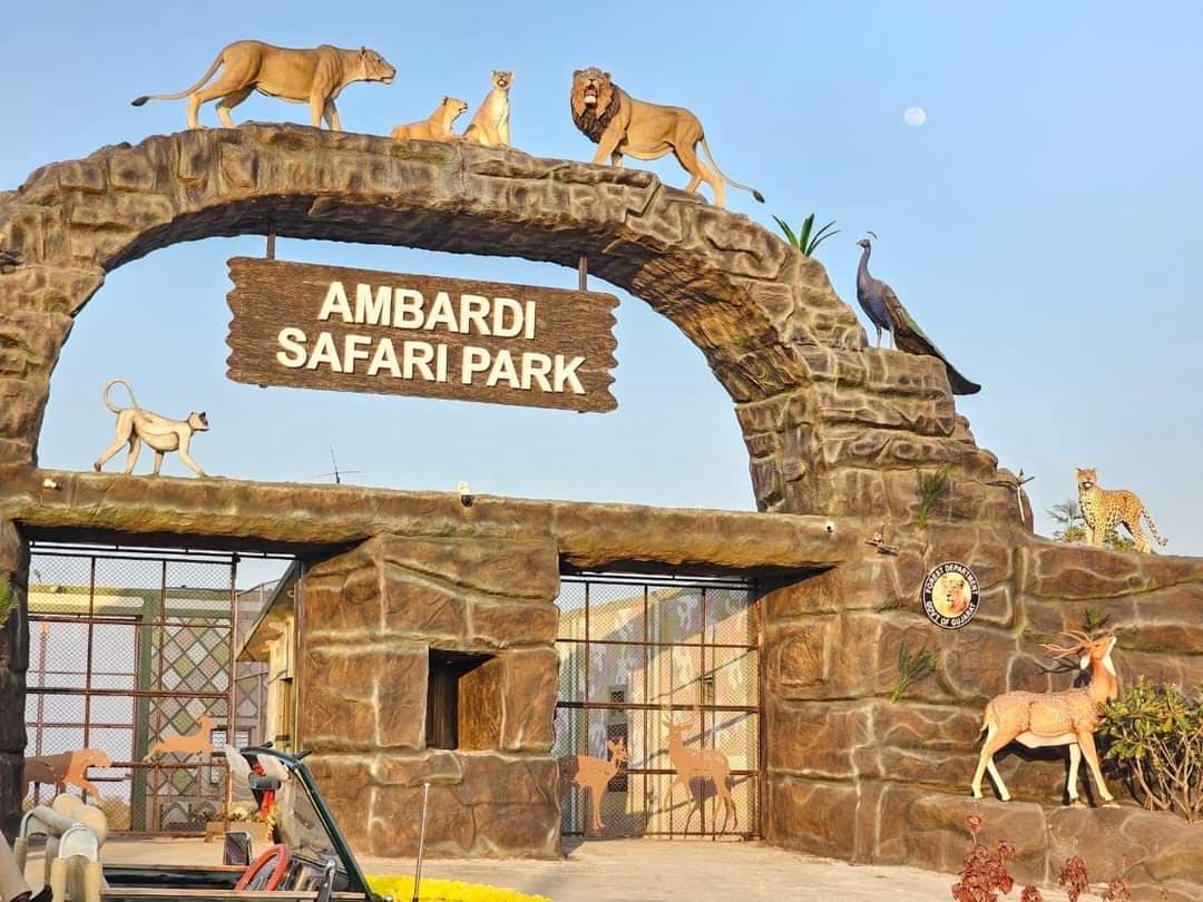 Ambardi Safari Park in Sasan Gir