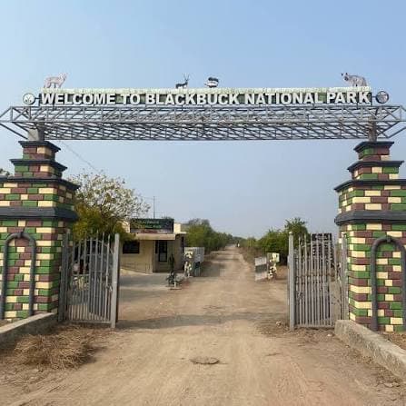 Velavadar National Park (Blackbuck Sanctuary) β Photo 5